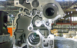 Selection and recovery of engine blocks, cylinder heads, main and distribution shafts